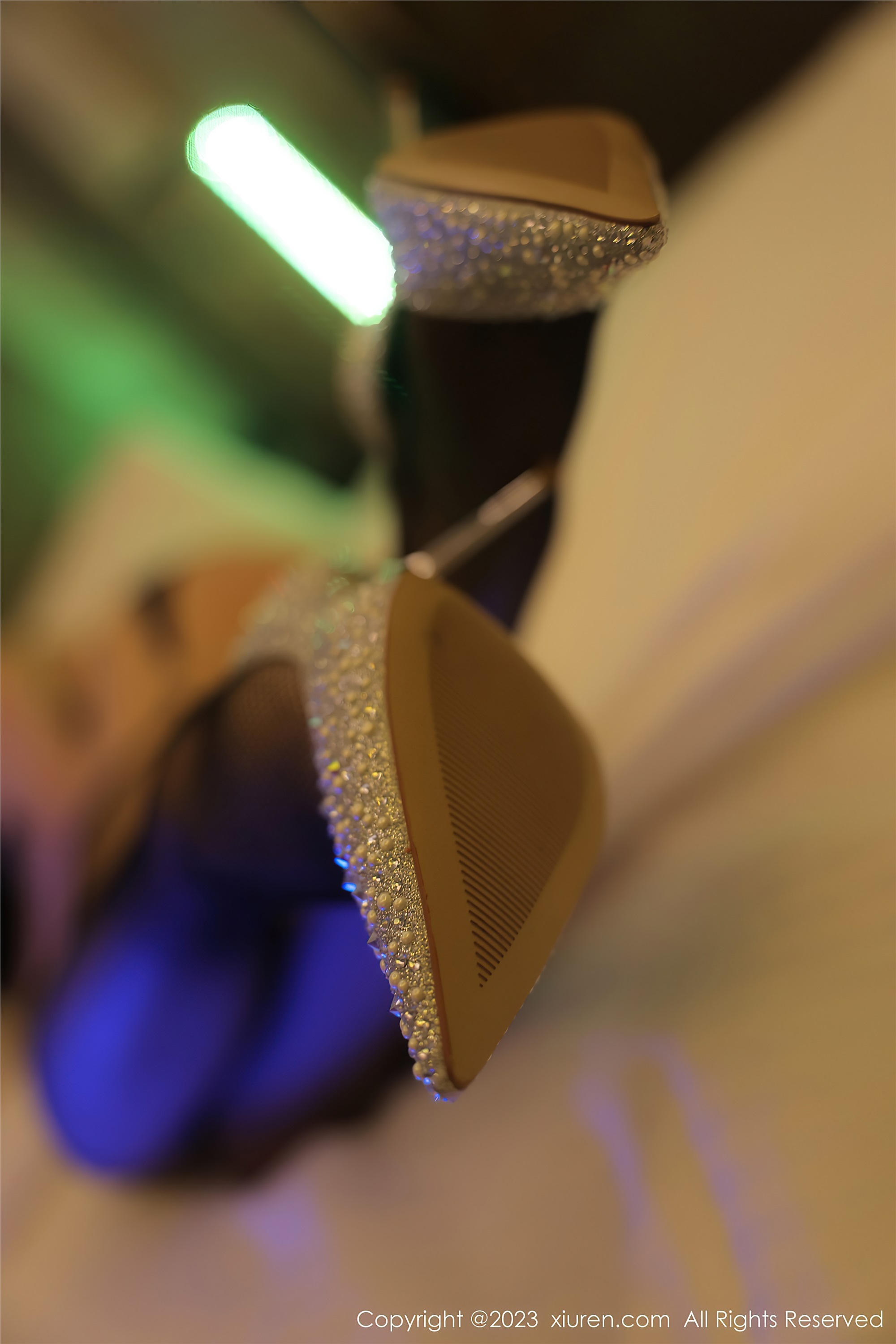 XiuRen秀人网  2023.06.19 NO.6938 田冰冰